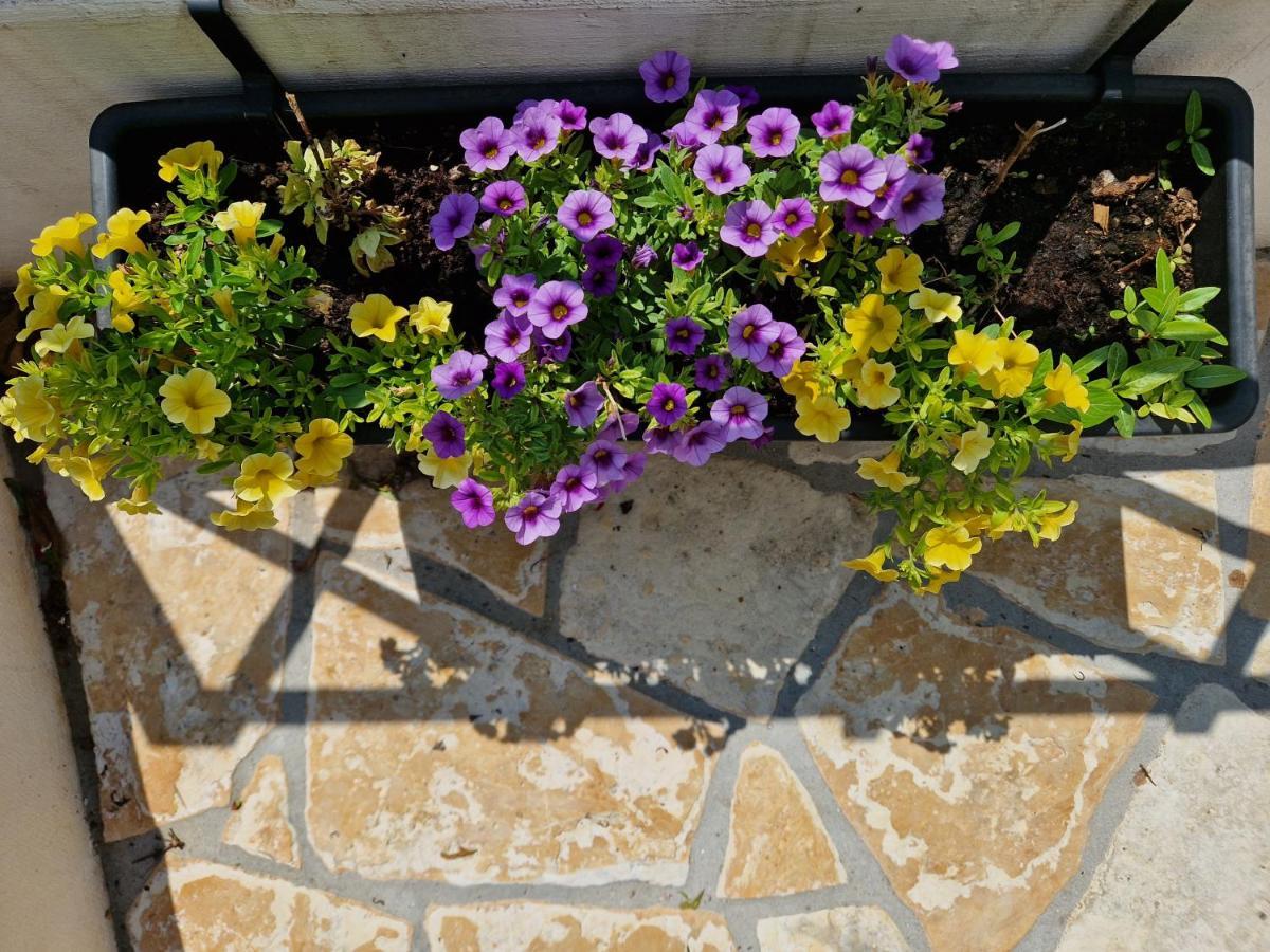 Bel Posto Apartment Dubrovnik Bagian luar foto